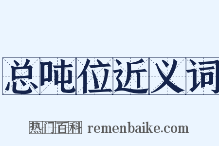 总吨位近义词是什么意思的图片